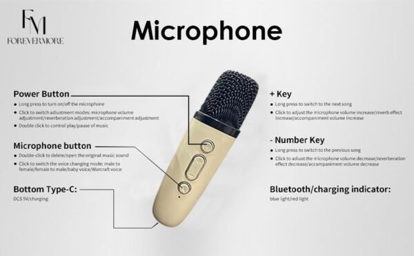 Karaoke Machine for Kids Adults with Wireless Mics Portable Bluetooth & Dynamic Lights Birthday Gift for Girls, Boys & Toddlers Ages 4, 5, 6, 7, 8, 9, 10, 12+ Year Old Home Outdoor Travel - Image 8