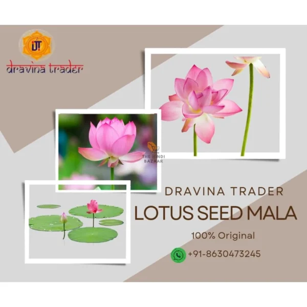 Dravina Trader Original Kamal Gatta Mala 108 Lotus Seed Beads - Image 4