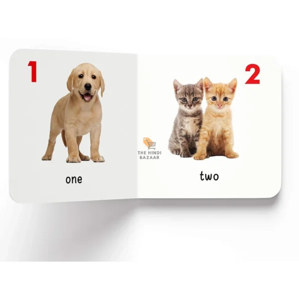 My First Complete Learning Library: 20-Book Board Book Set for Kids - Image 13