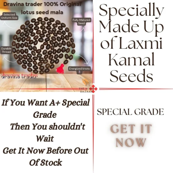 Dravina Trader Original Kamal Gatta Mala 108 Lotus Seed Beads - Image 5