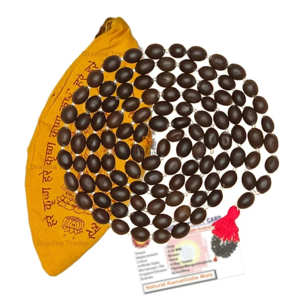 Dravina Trader Original Kamal Gatta Mala 108 Lotus Seed Beads