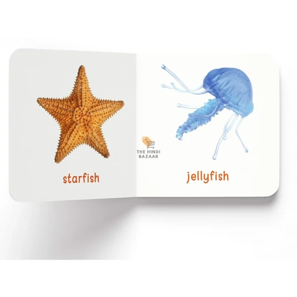 My First Complete Learning Library: 20-Book Board Book Set for Kids - Image 12