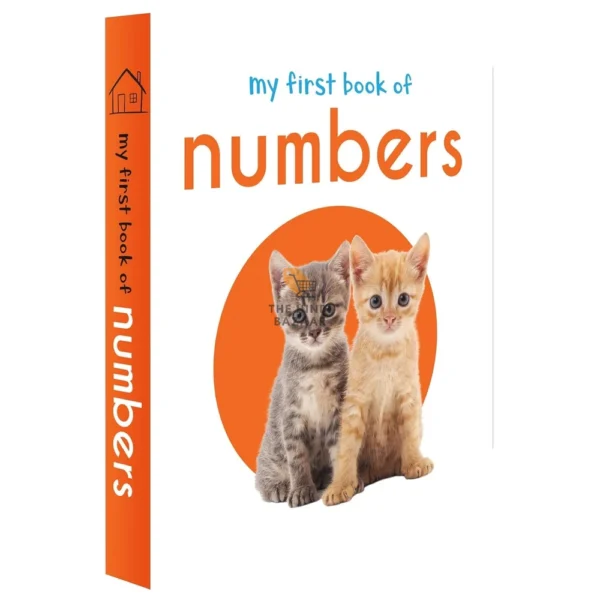 My First Library: Boxset of 10 Board Books for Kids - Image 3